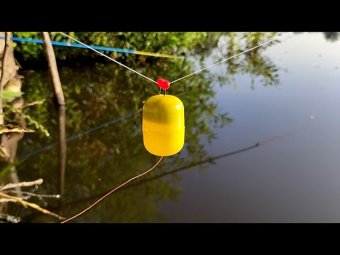 10 The best and most convenient do-it-yourself bite signaling device for feeder and donkeys!