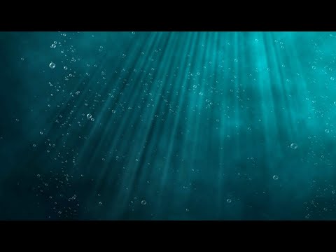 Underwater ocean scene with sun light rays and bubbles relaxing background 4K 60fps FREE DOWNLOAD