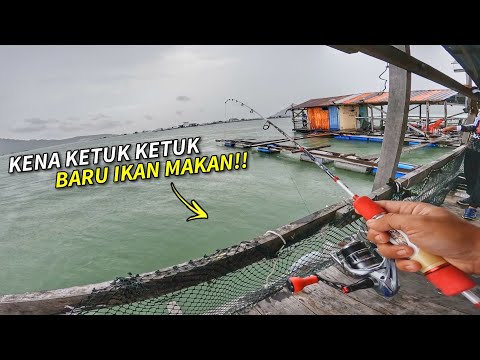 IKAN TAK Makan Umpan Besi? Guna Umpan Siput Sudu!!