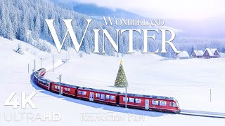 Snow Wonderland 4K ❄️ A Cinematic Winter Escape with Soothing Melodies | Relaxation Film