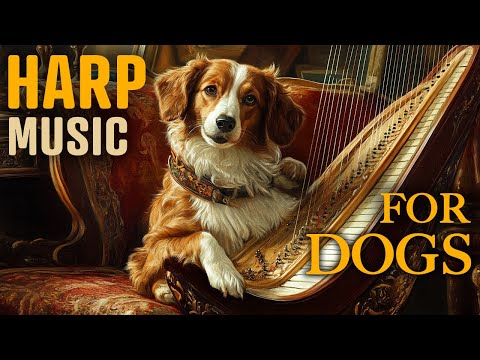 Harp Music for Dogs - Classical Music for Dogs - Separation Anxiety Music for Dogs