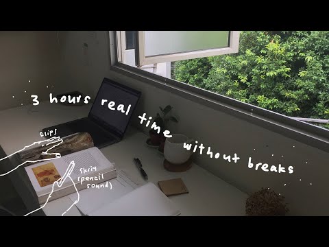 3 hour study with me | real time, no music, no breaks