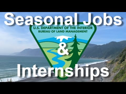 Environmental Internships and Seasonal Jobs with the Bureau of Land Management: Start your career!