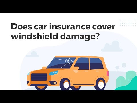 Windshield Damage | Progressive Answers