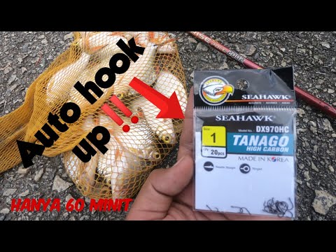 memancing santai ikan lampam‼️teknik rasuah??