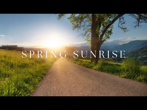 Piano & Guitar for Calm & Relaxation | Sunrise in Spring