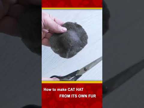 How to make Cat Hat (from its own fur) in 30 sec! #shorts