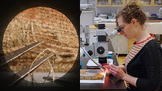 Microscopically reweaving a 1907 painting | CONSERVATION STORIES