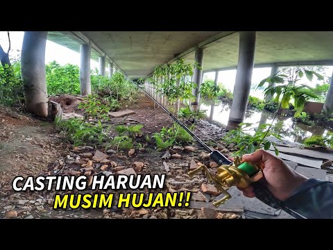 Nak Cari Jenahak LEBIH MUDAH Daripada Cari Haruan!!