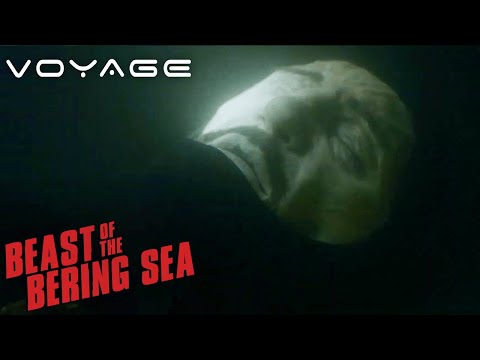 Beast of the Bering Sea | Awakening The Deadly Creature | Voyage