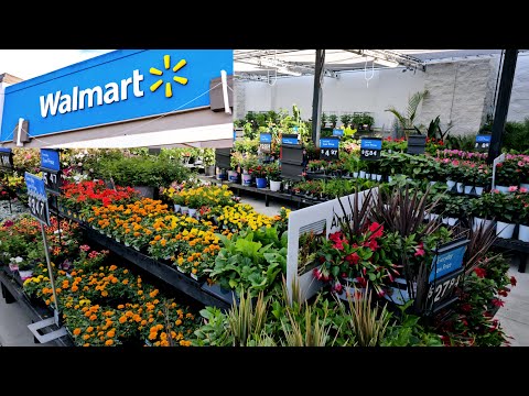 Walmart Garden Center inventory for April + Clearance Plants.🌱🌿