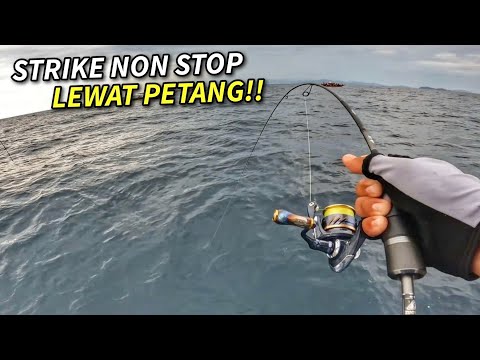 IKAN MAKAN TANPA HENTI LEWAT PETANG! | CHAIFishing