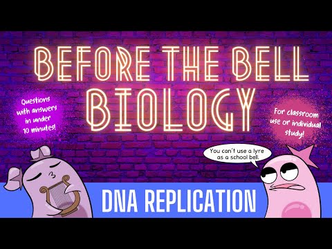 DNA Replication: Before the Bell Biology