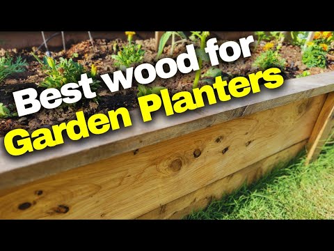 Wooden Garden Boxes: The Ultimate Guide to Choosing the Best Wood Species for Raised Bed Planters