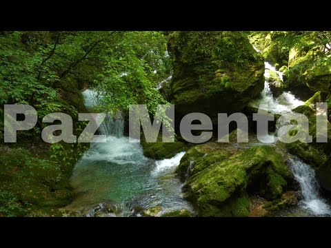 Inexplicável Paz, Bençãos e Cura | Musica e Sons da Natureza🌿🍃 Para Dormir #3