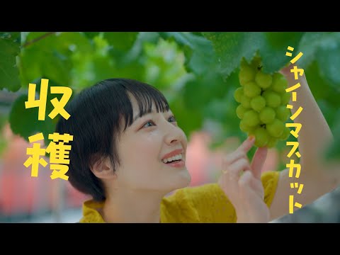 【忍野村公式】女子旅編～One Day Trip in OSHINO～