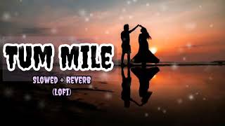 Tum Mile [ slowed + Reverb ] Javed ali, full song.