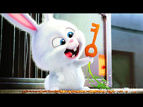 All the BEST Scenes from The Secret Life of Pets 🌀 4K