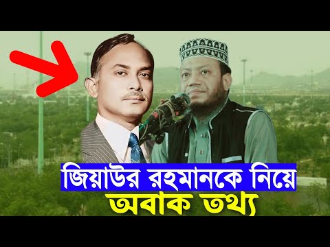 জিয়াউর রহমানকে নিয়ে একি বললেন আমির হামজা!  new waz | amir hamja new waz 2025