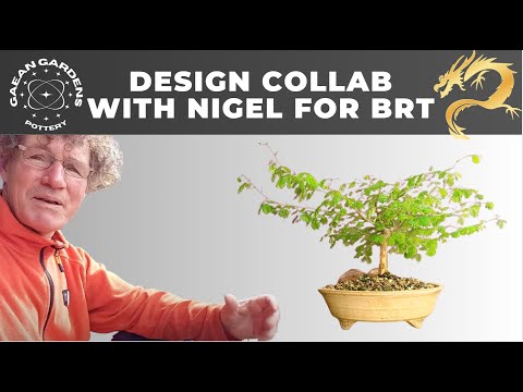 Lesson on pairing a bonsai pot with a tree: with Nigel Saunders and Izabela