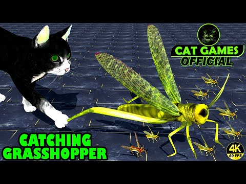 CAT GAMES - CATCHING GRASSHOPPER! Entertainment Video for Cats to Watch & Enjoy (4K 60 FPS)