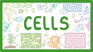 GCSE Biology - Cell Types and Cell Structure