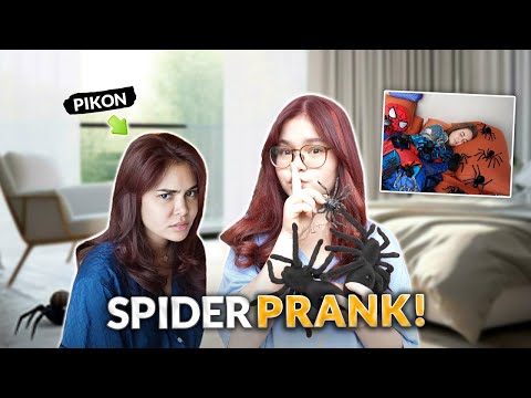 SPIDER REVENGE PRANK! | IVANA ALAWI