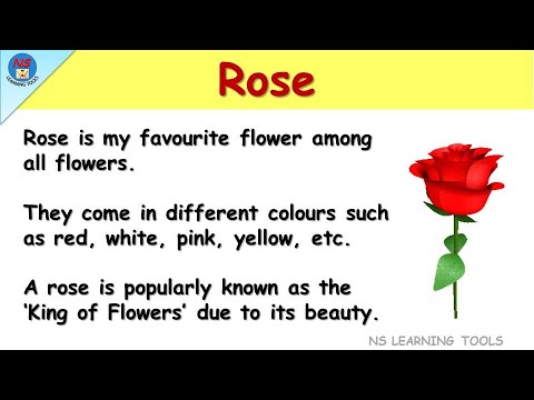 10 Lines on My Favourite Flower Rose in English | Essay on Rose | Few lines on Rose | Rose Flower