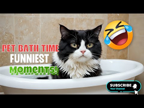 PET Bath Time FUNNIEST Moments!