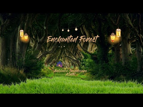 Enchanted Forest  – Ambience Soundscape Studying and Relaxing (ASMR) - Harry Potter Inspired