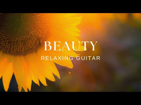 Peaceful Relaxing Guitar Music | Work Study Focus | 1 Hour