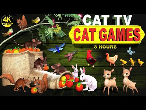 CAT GAMES ULTIMATE CAT TV COMPILATION | BEST CAT GAMES AND VIDEOS 4K UHD, 60 FPS  8 HOURS