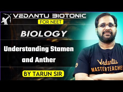 Understanding Stamen and Anther | Structure and Function in Plant Reproduction | TARUN SIR