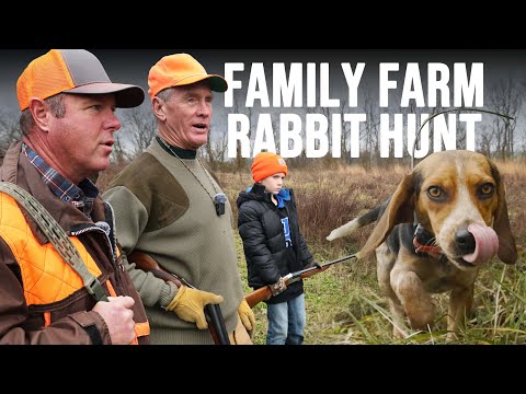 Rabbit Hunting with Beagles on the Family Farm