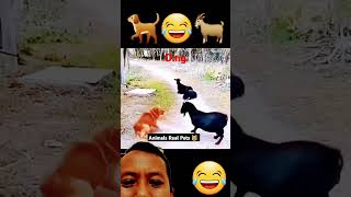 #funnyanmials #animlasfunny #funnyanimlas #funyanimals #funny #dog #goat #animals #yoitubeshorts #fu