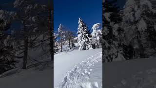 Relaxing Snow Scenes with Calming Music for Stress Relief #calmingmusic #SnowyLandscape #WinterRelax