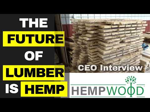 Hempwood - Interview With the Founder and CEO