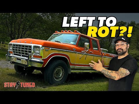 Abandoned for YEARS! Can We Save This Amazing Old Ford Truck?!