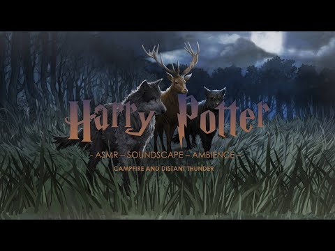 HARRY POTTER Campfire and Thunder - Outside with the Marauders - Ambience Soundscape ASMR  No Music