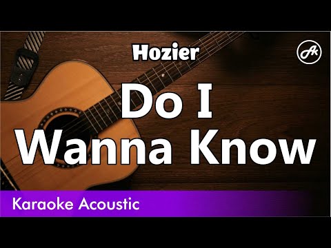 Hozier - Do I Wanna Know (acoustic karaoke)