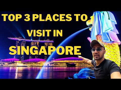 Singapore Tour Guide | Singapore Tourist Places | Singapore Vlog | Merlion Park | Gardens By the Bay