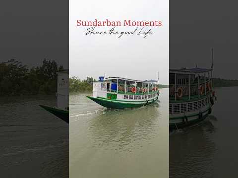 Sundarban Tour|| World's largest mangrove forest Sundarban #bengalitravelvlog ||watch full vlog