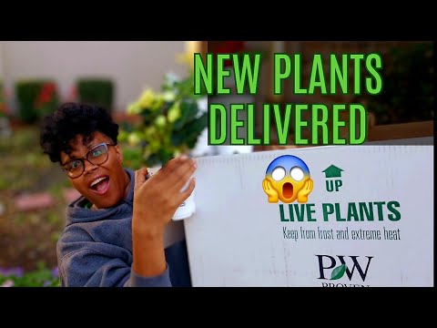 Unboxing new Proven winners annuals & perennials - my NEW plants are here! 🌱🌺