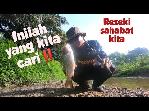 Rezeki Sahabat Kita nak Makan Ikan Sebarau #hampala #castingsebarau #topwater