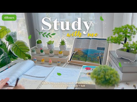 4-HOUR 🍏 Study With Me •  Fire Crackling🕯️+ Lofi bgm • Pomodoro 50-10 • Day206🩵