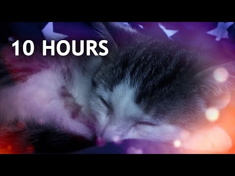 Make Your Cat Sleep Within 5 Minutes (CAT MUSIC With Cat purring sounds)   10 HOURS!!!