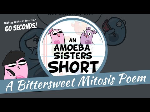 Mitosis Poem - Amoeba Sisters #Shorts