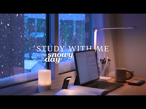 4-HOUR STUDY WITH ME ❄️ on SNOWY DAY / 🔥 Fire Crackling / Pomodoro 50-10 / No Music [ambient ver.]