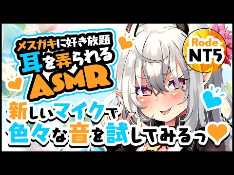 【ASMR/Rode NT5】新しいマイクで色々な音を試してみるっ！♡メスガキに好き放題耳を弄られる♡【囁き/タッピング/耳かき…etc】