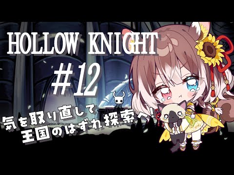 【Hollow Knight #12】気を取り直して王国のはずれ探索していくよ！アクション下手が挑むHollow Knight #新人vtuber #vtuber #個人勢vtuber